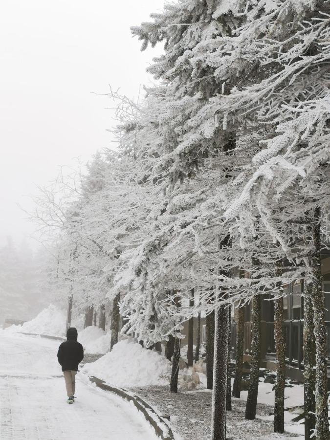Gorgeous House For Ski Retreat Or Mountain Vacations Snowshoe Bagian luar foto